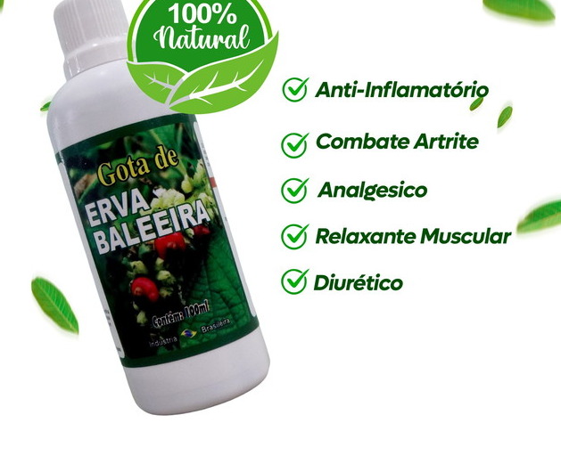 Erva Baleeira Gotas - Anti-inflamatório 100 ml