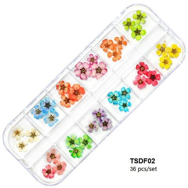 Natural Dried Flowers Decoration Kit for Encapsulated Art - Box of 36 Pieces Mod 2