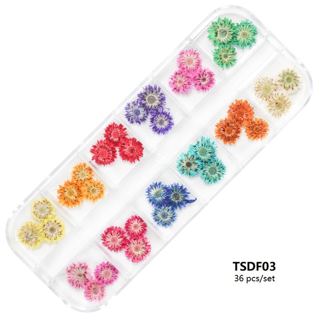 Natural Dried Flowers Decoration Kit for Encapsulated Art - Box of 36 Pieces Mod 1