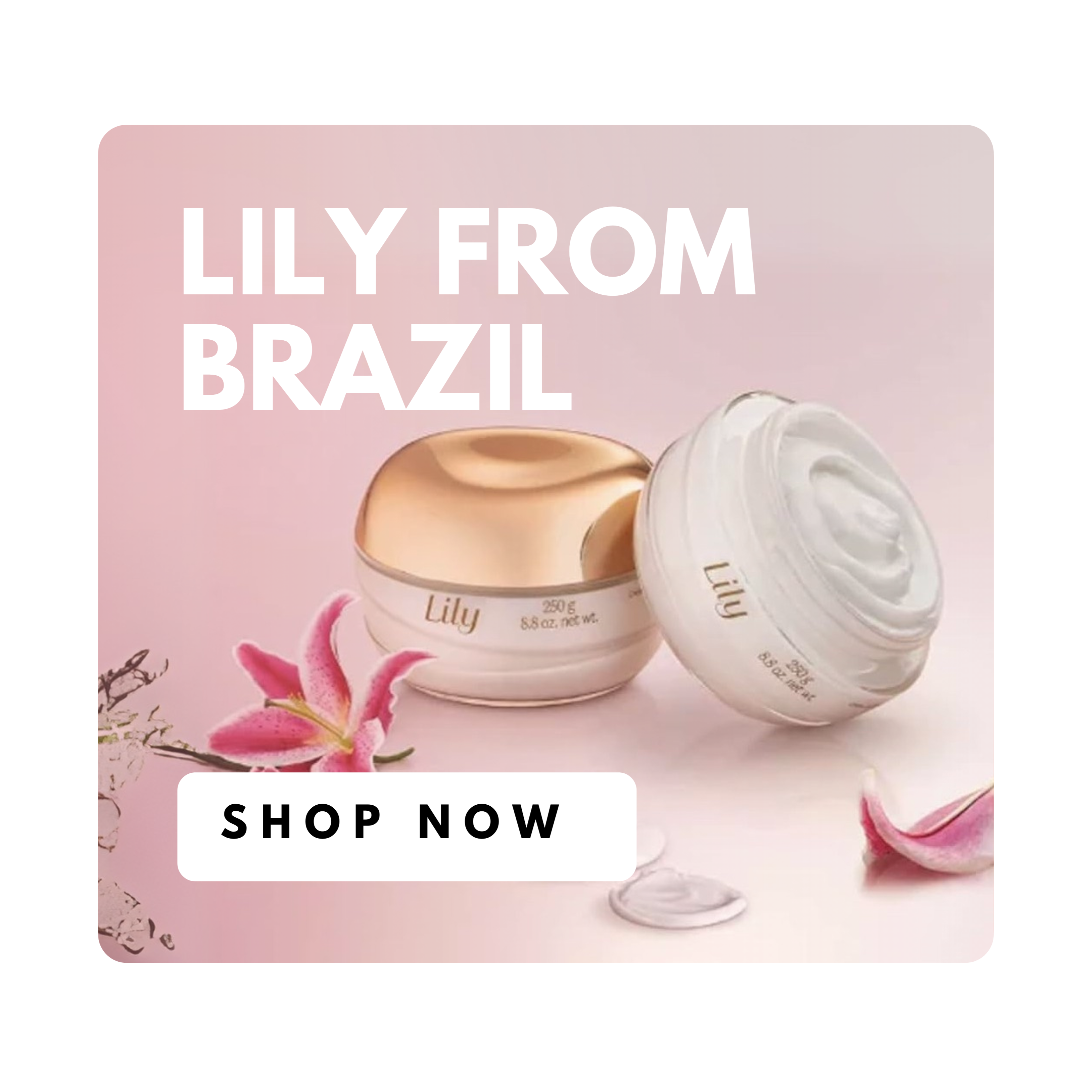 Cosmetic product packaging with 'Lily from Brazil' branding on a light pink background.