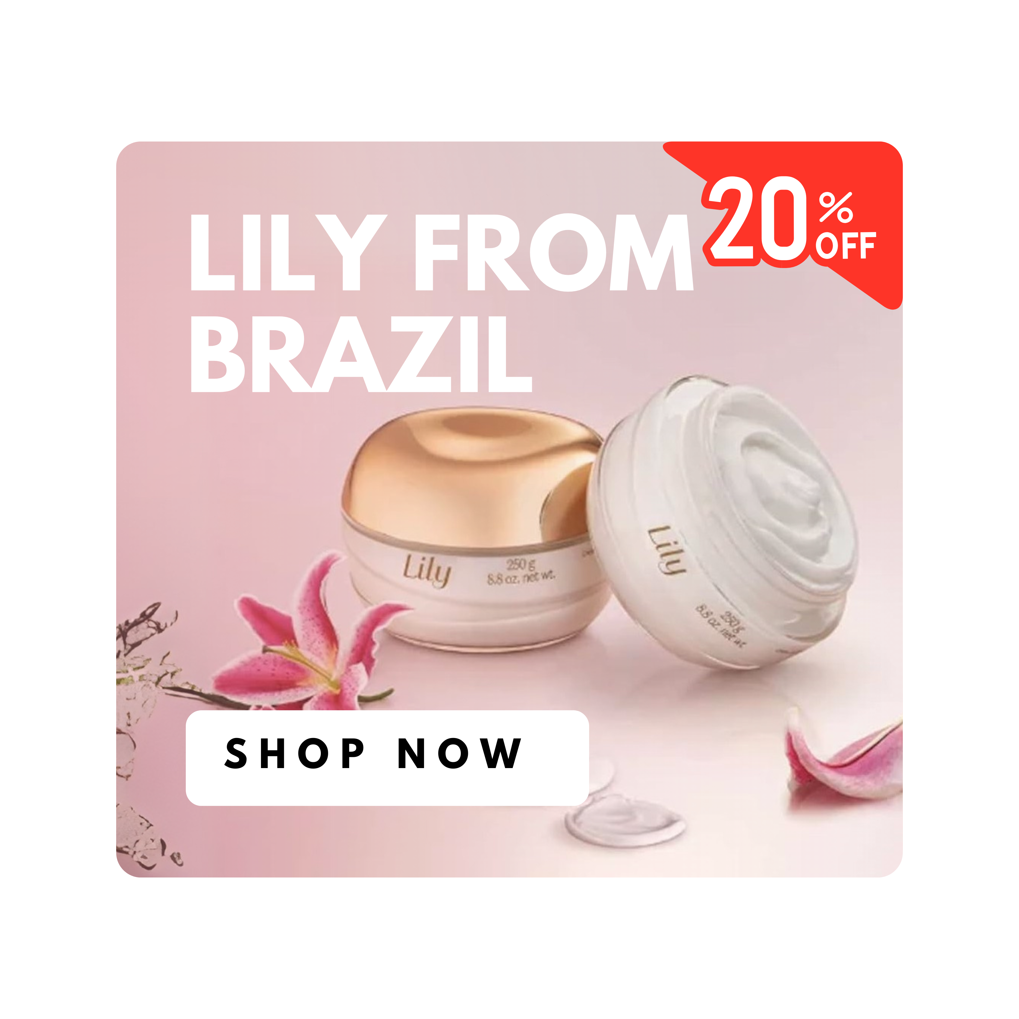Advertisement for 'Lily from Brazil' with two skincare products and a 'Shop Now' button on a light pink background.