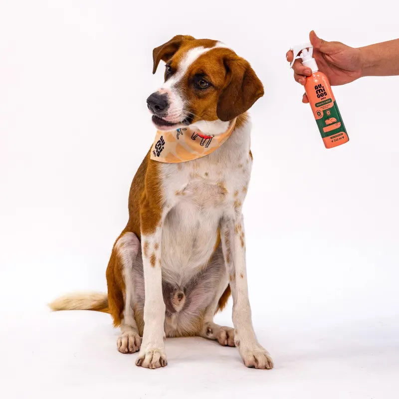 Banho a Seco Au.Migos Pets 240ml