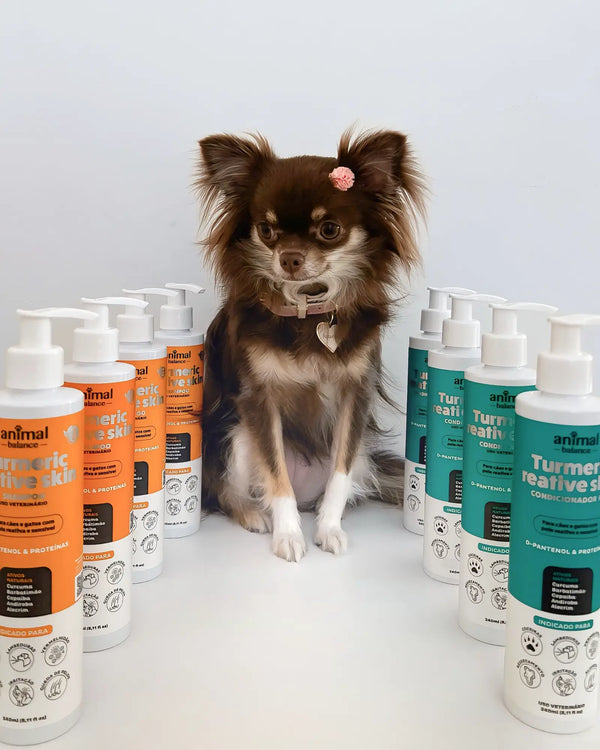 Turmeric Reactive Kit - 1 Shampoo + 1 Conditioner