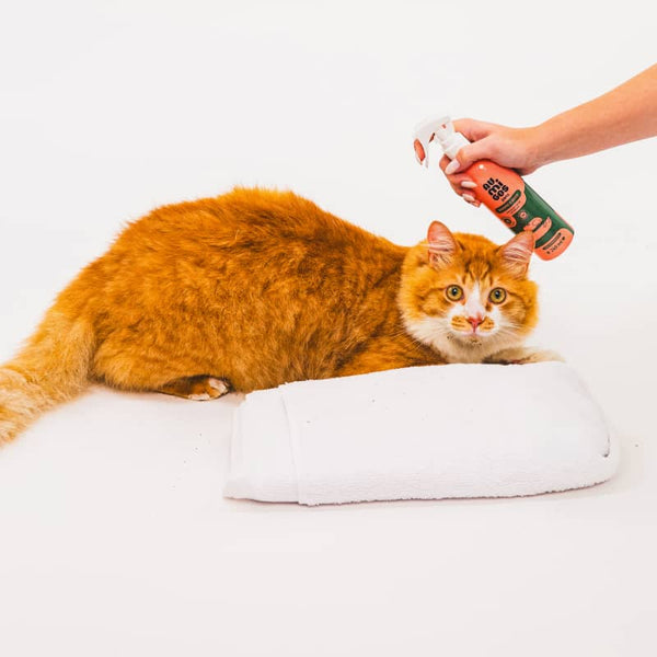 Fresh Paws Pet Wipes