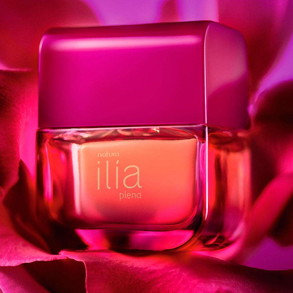 Perfume ilia outlet