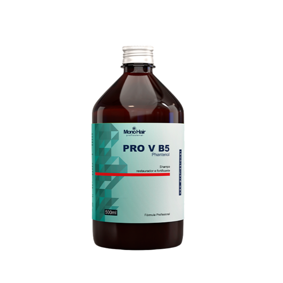 Monoin Pro V B5 Protection Shampoo + Resistance 500ml