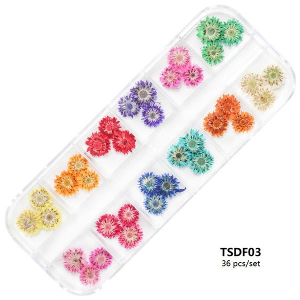 Natural Dried Flowers Decoration Kit for Encapsulated Art - Box of 36 Pieces Mod 1